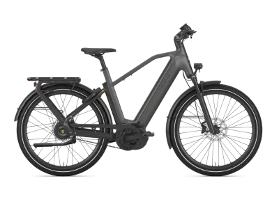 Gazelle Eclipse C380  informeer naar onze prijs)